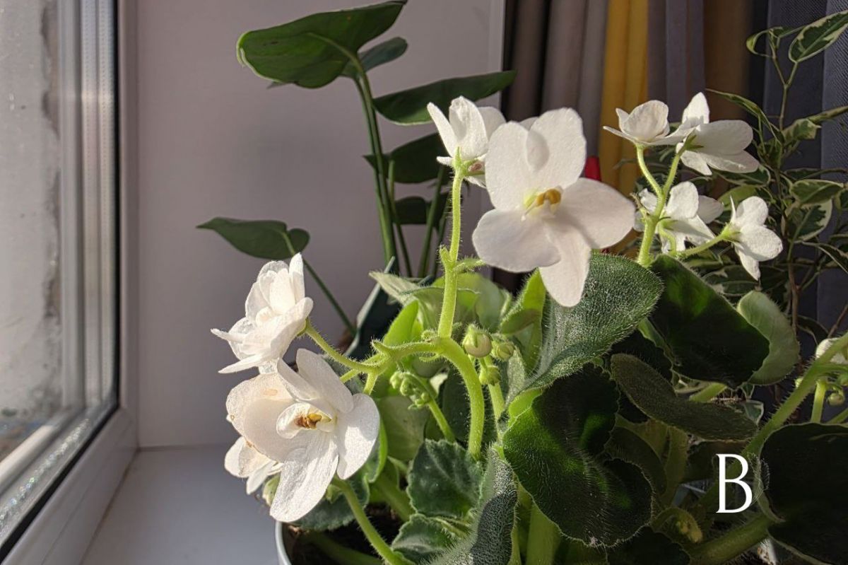 В Куркино облачно с прояснениями В Куркино облачно с прояснениями