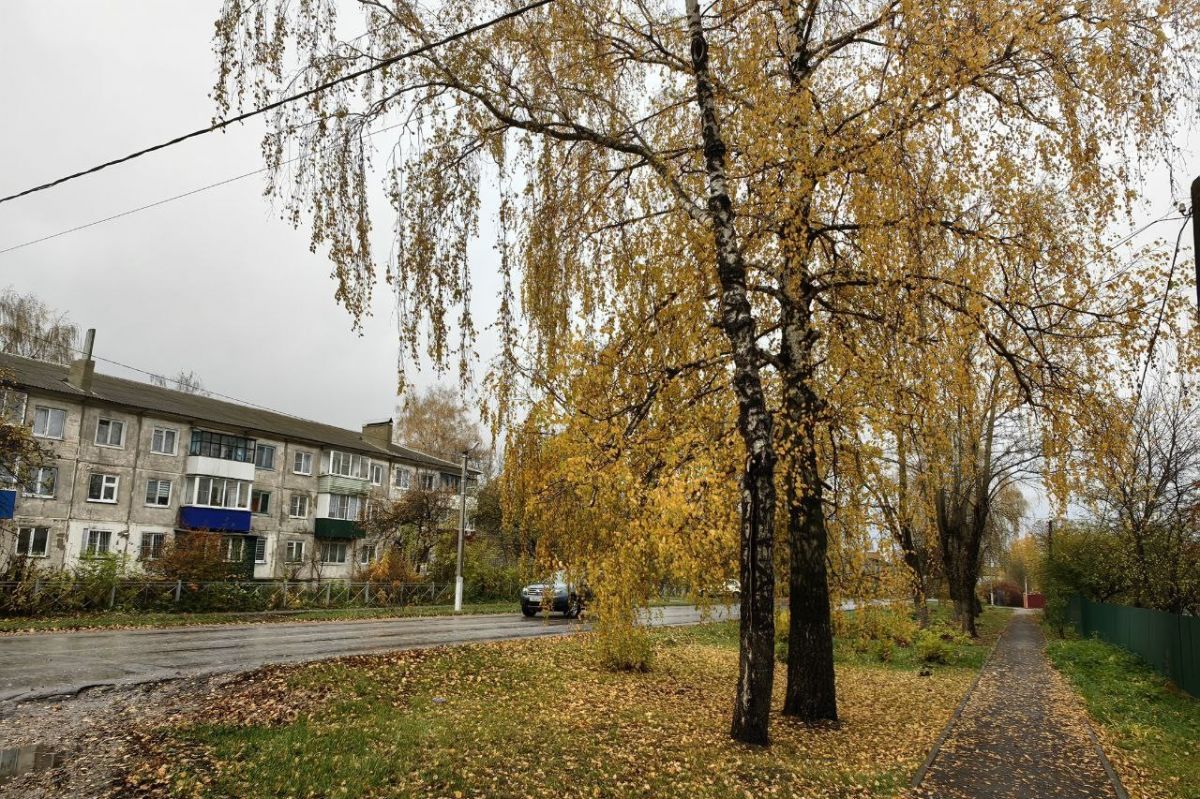 В Куркино облачно, без осадков В Куркино облачно, без осадков
