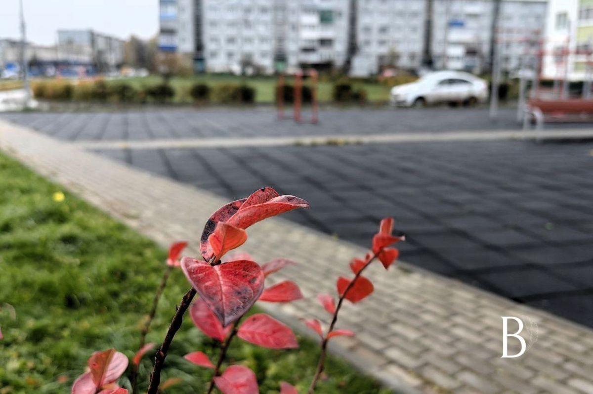 В Куркино днем будет пасмурно, кратковременный дождь В Куркино днем будет пасмурно, кратковременный дождь