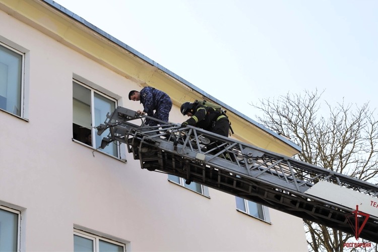 Росгвардейцы совместно с МЧС провели пожарно-тактические учения в Туле Росгвардейцы совместно с МЧС провели пожарно-тактические учения в Туле