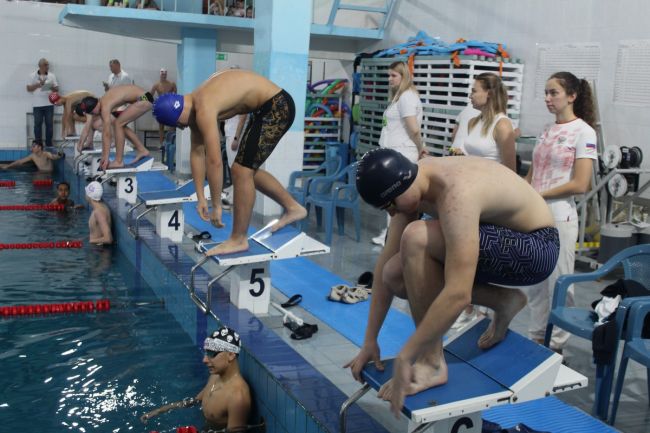 В Новомосковске проходят областной чемпионат и первенство по плаванию