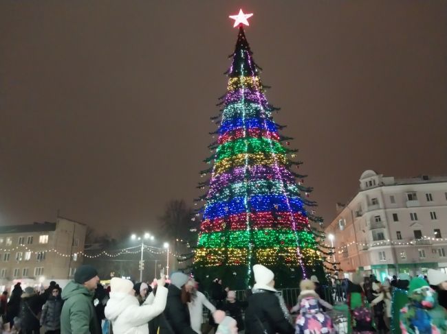 На центральной площади Новомосковска зажгли огни на главной городской ёлке