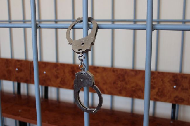 Суд в Богородицке вынес приговор убийце малолетнего ребёнка Суд в Богородицке вынес приговор убийце малолетнего ребёнка