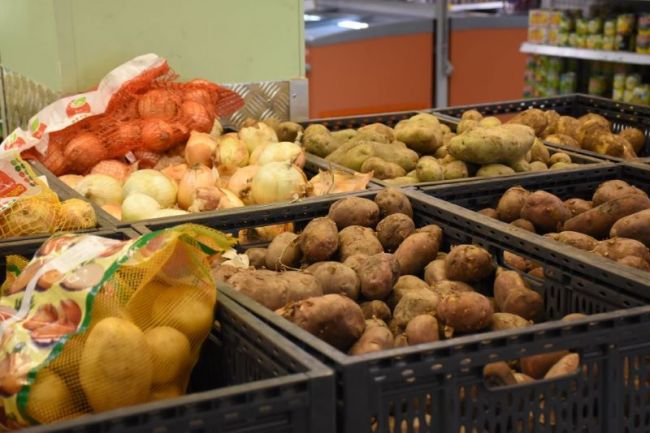 Новомосковцы могут обратиться на «горячую линию» с вопросами о качестве и безопасности овощей
