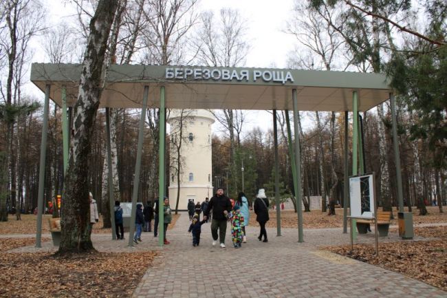 До вечера среды парковаться вдоль Березовой рощи будет нельзя