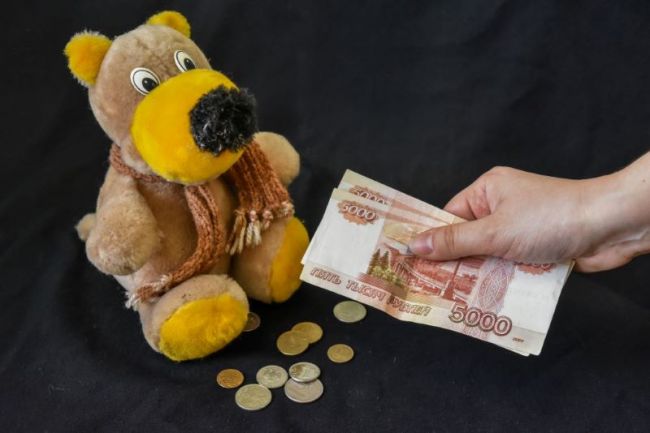 Родителям: при рождении второго ребенка в нашем регионе выплачивается областное единовременное пособие