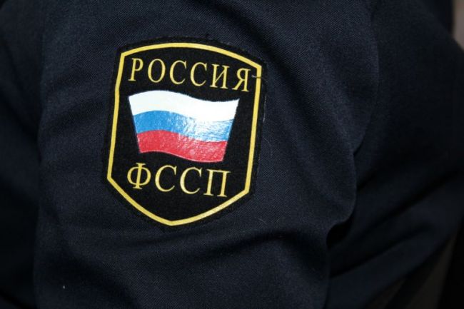 Новомосковское предприятие погасило долг по налогам после вмешательства судебных приставов