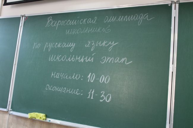 В новомосковских школах проходит первый этап Всероссийской олимпиады школьников