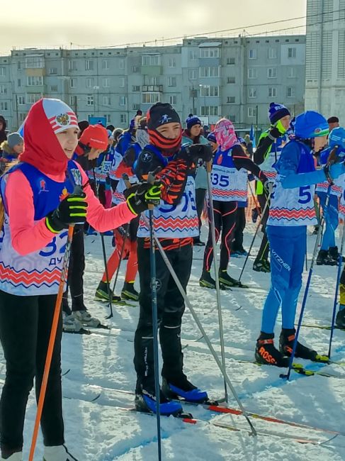 Новомосковские лыжники привезли награды с «Лыжни Веденина»