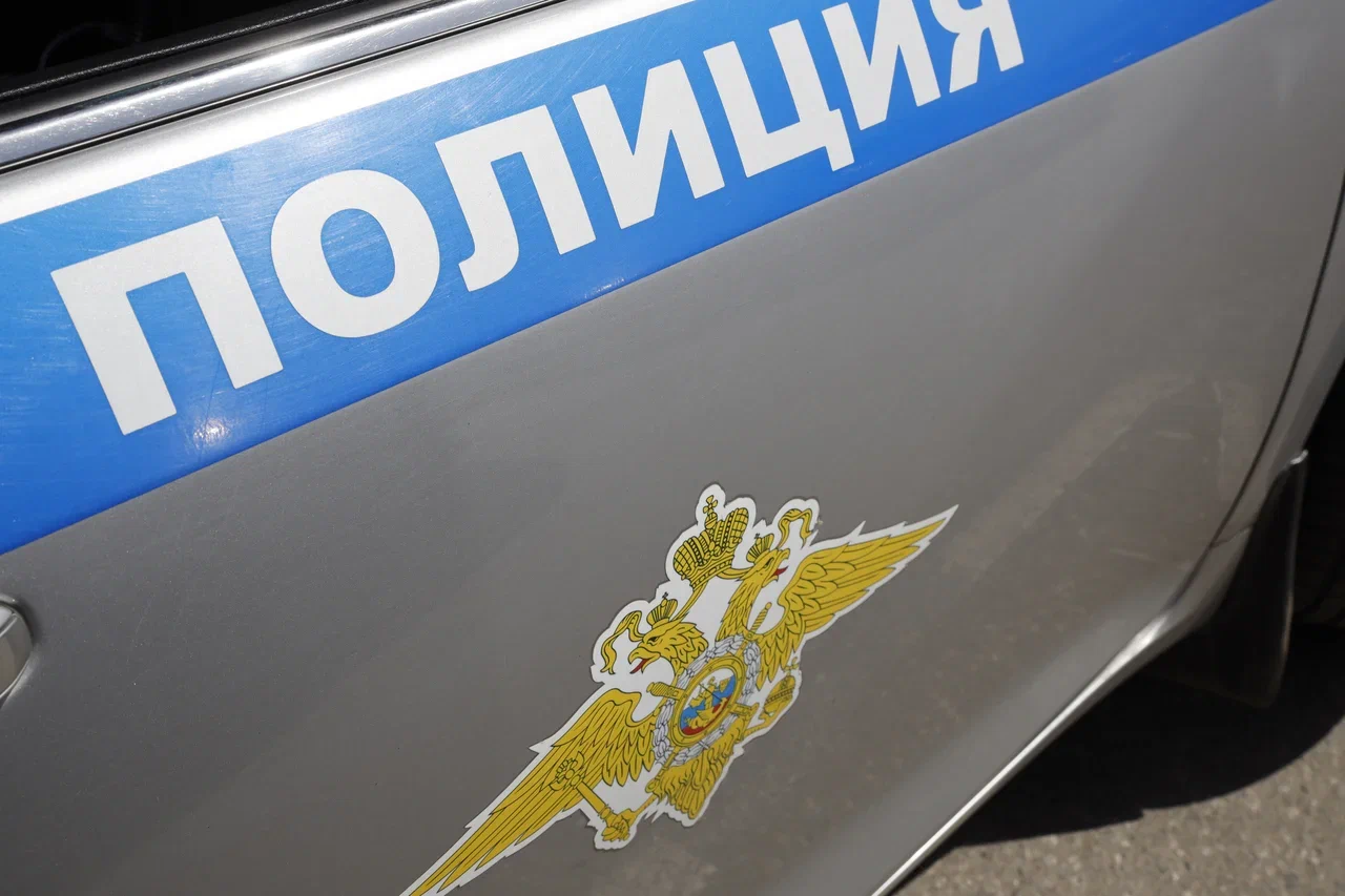 В Новомосковске забывчивость автолюбителя привела к краже