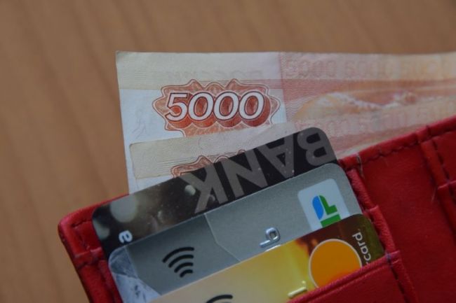 В новомосковской полиции  установили подозреваемого в краже денег с банковского счёта