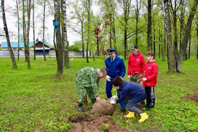 Прокурор Суворовского района принял участие во Всероссийской эколого-патриотической акции «Сад памяти»