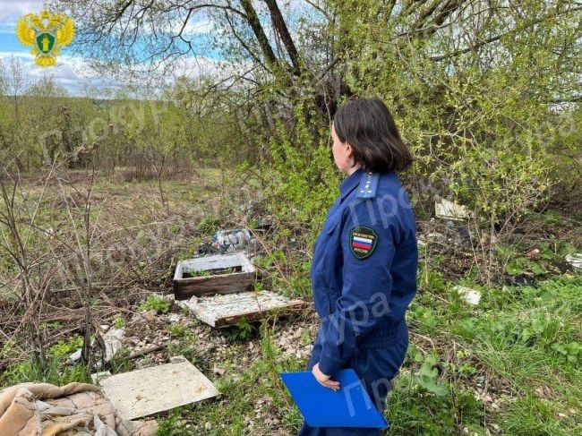 По иску природоохранной прокуратуры суд обязал муниципалитет ликвидировать несанкционированную свалку в Кимовском районе