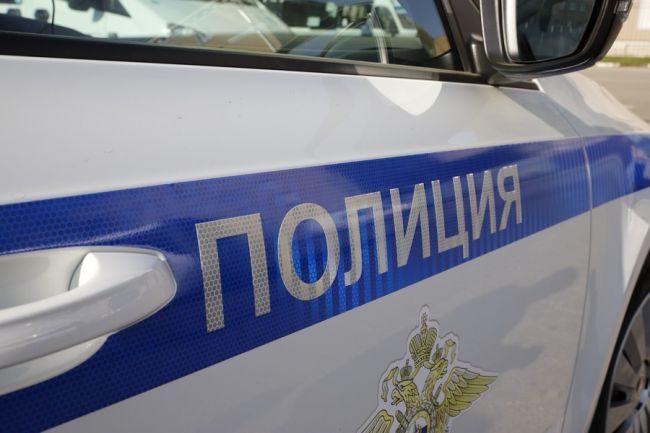 Подозреваемого в убийстве 17-летней жительницы Новомосковска задержали