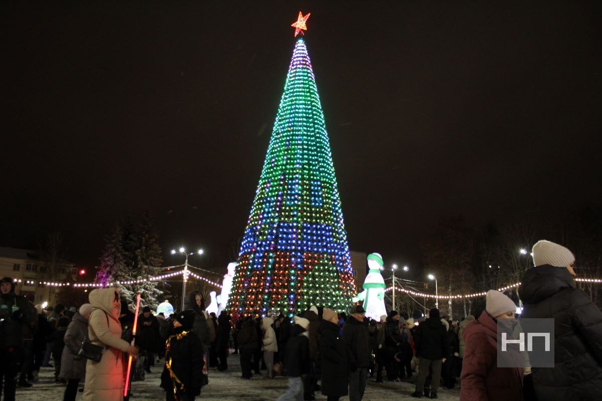 В Новомосковске зажгли главную городскую ёлку