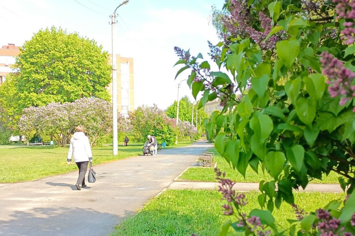 В 2026 году в Новомосковске будет реконструирован сквер «Сказка» В 2026 году в Новомосковске будет реконструирован сквер «Сказка»