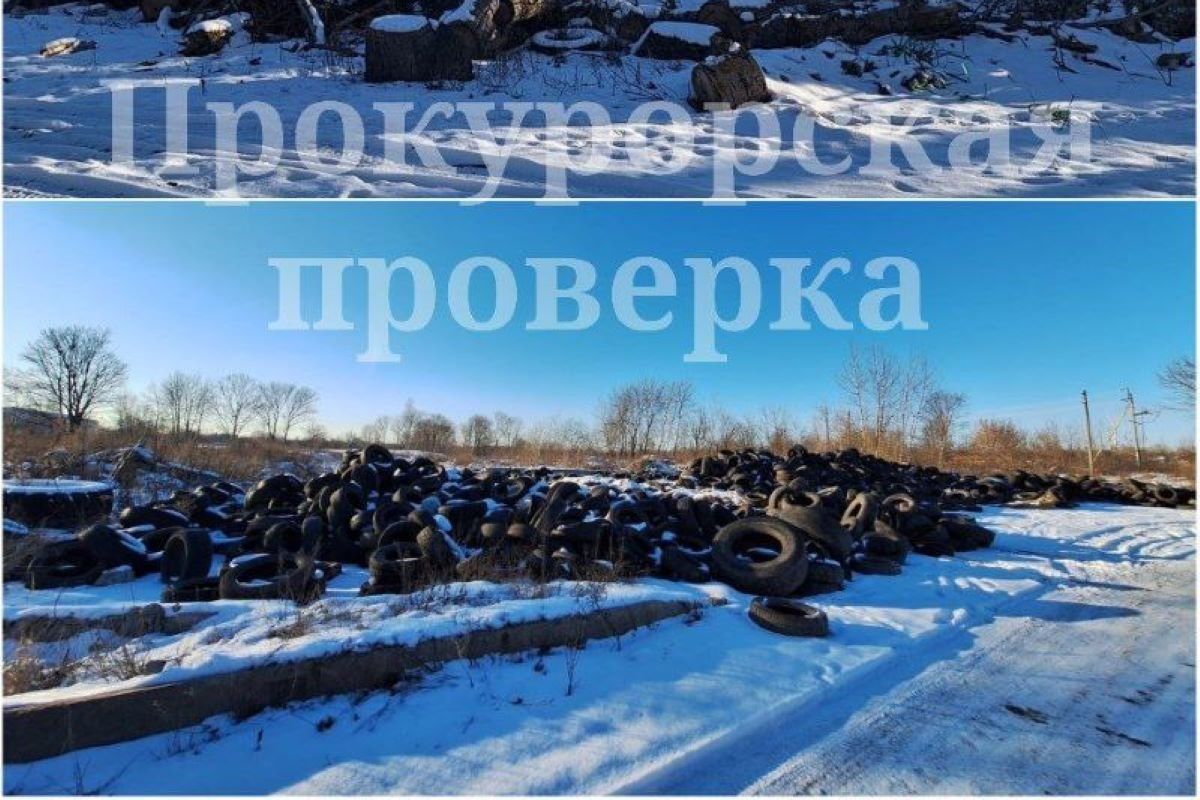 Прокуратура контролирует ликвидацию несанкционированной свалки Прокуратура контролирует ликвидацию несанкционированной свалки