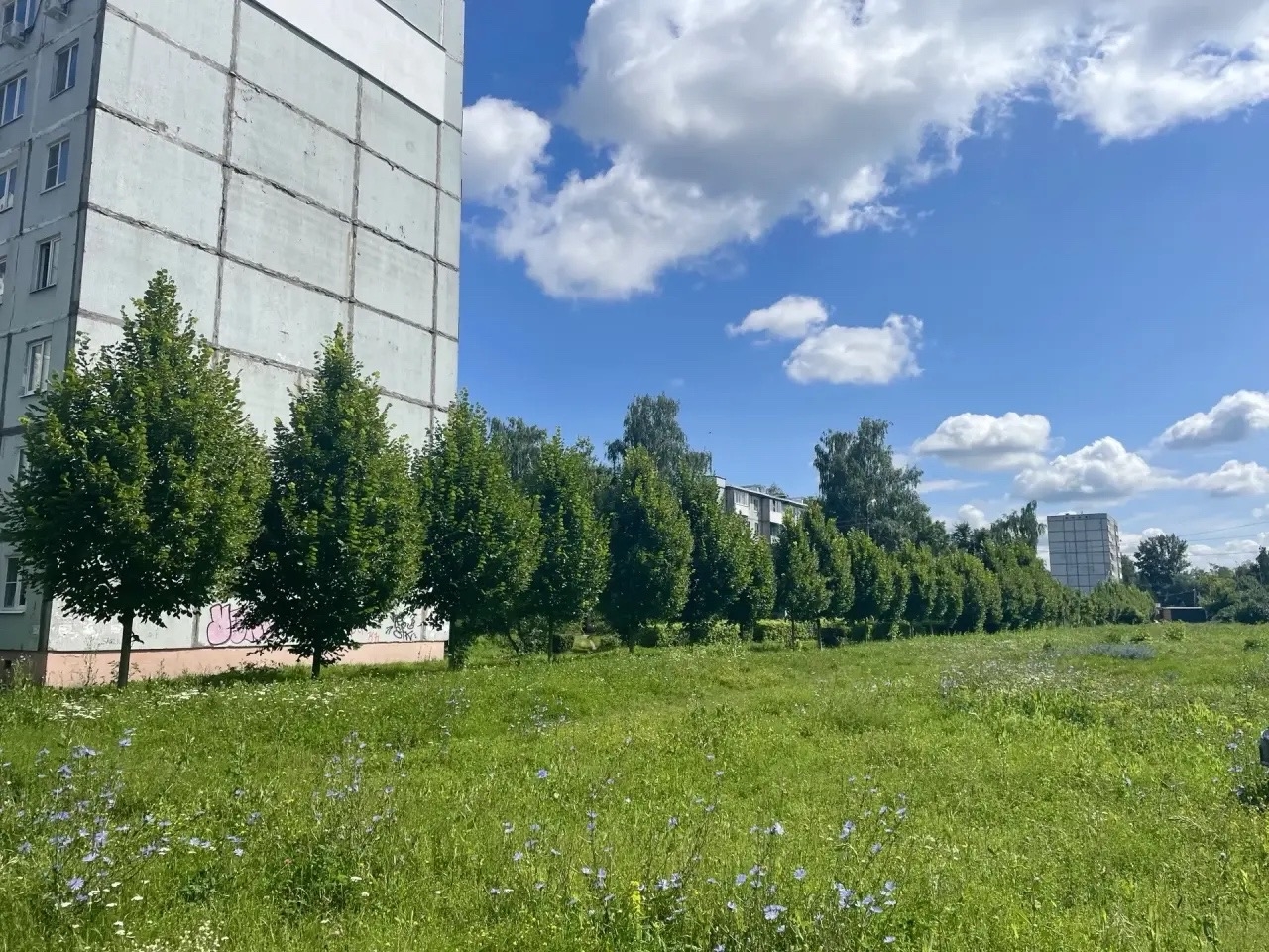 Новомосковские экологи показывают результаты своего труда