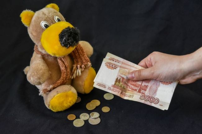 Женщину будут судить за неуплату более 2 млн рублей алиментов