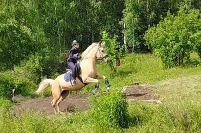 В Новомосковске прошли соревнования по спортивному туризму на конных дистанциях