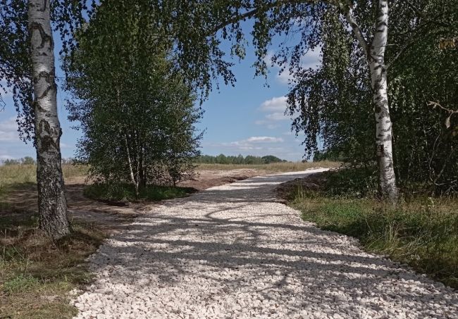 Дорога на село Жестовое Одоевского района теперь есть