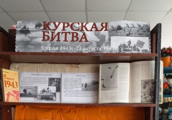 В Рылёвской библиотеке прошёл патриотический час