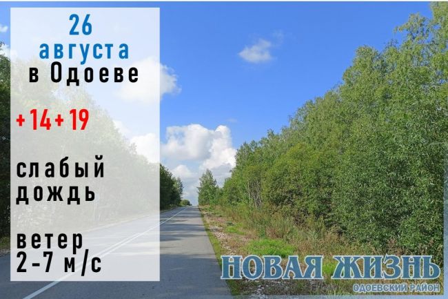 На Тихона Страстного дождь — зимой часто будут вьюги и бураны