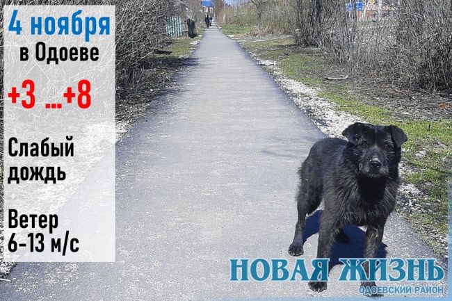После обеда дождь. После обеда дождь