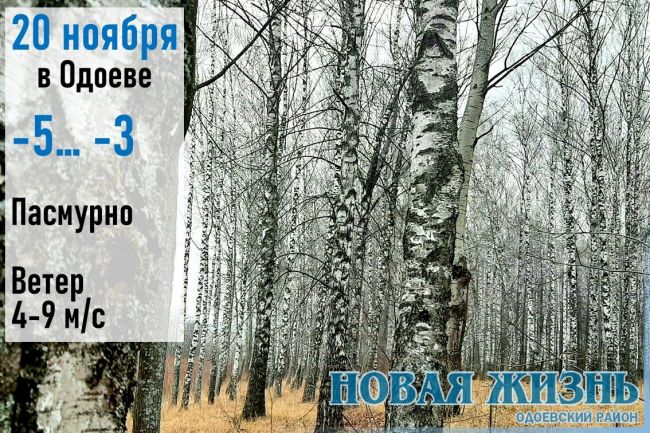 Погода в Одоевском районе 20 ноября: мороз крепчает