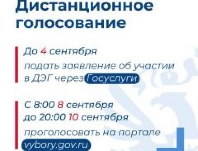Сегодня – последний день подачи заявлений для участия в дистанционном голосовании