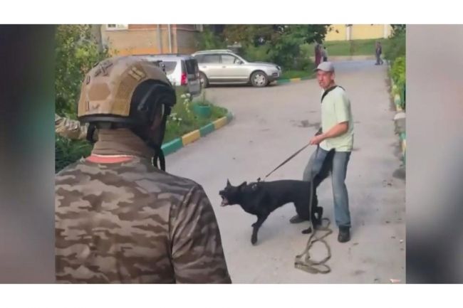 Ирина Волк: В Туле при задержании наркодилер оказал сопротивление полицейским и спустил с поводка свою собаку