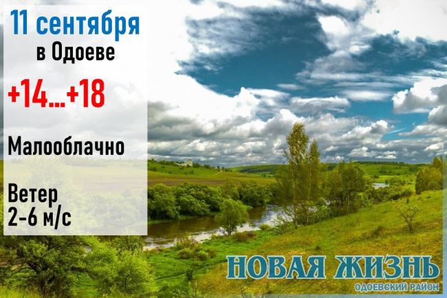 Погода в Одоевском районе 11 сентября:  без осадков, ветер северный