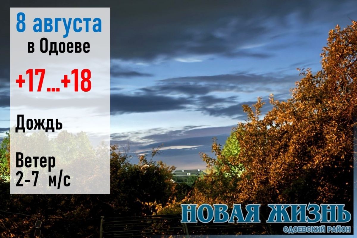 8 августа: Утром холодно - зима будет ранняя и морозная