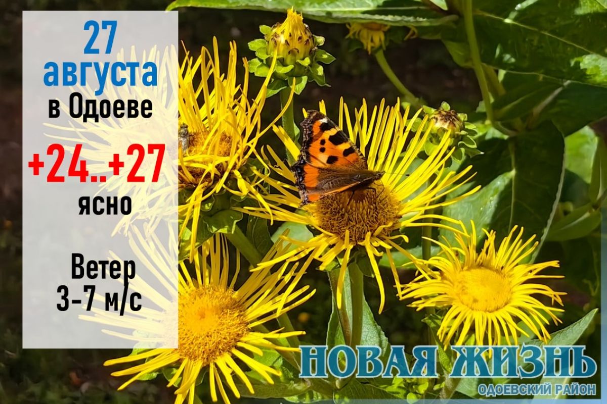 27 августа: по сегодняшней погоде смотрели каким будет сентябрь