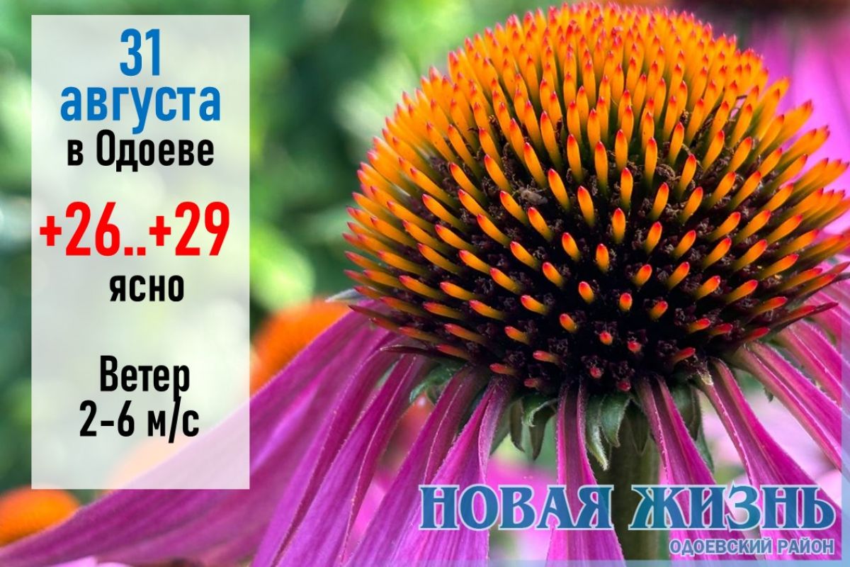 31 августа: Облака низко стелятся — к непогоде