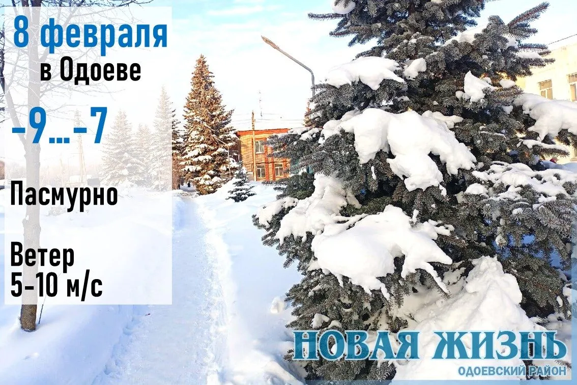 8 февраля: снежно в Одоевском районе