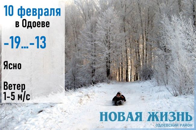 10 февраля: погода в Одоевском районе