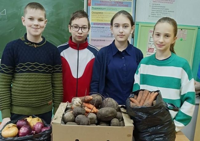 Школьники Одоевского района приняли участие в сборе овощей и фруктов для Тульской самоварочки