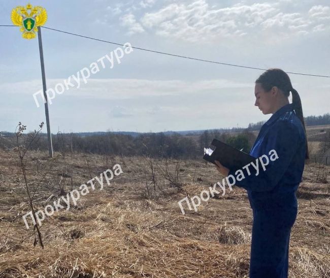 Прокуратура предостерегла глав администраций в Заокском районе о недопустимости нарушения закона в пожароопасный период