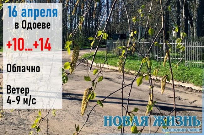 16 апреля: погода в Одоевском районе