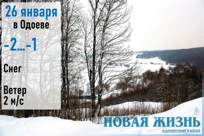 26 января: Щебечет синица - к ранней весне