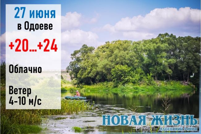 27 июня: день Елисея Гречкосея