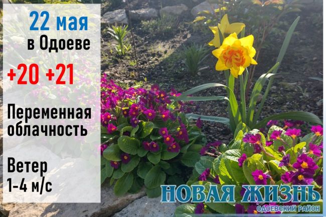 22 мая: день Николая Чудотворца