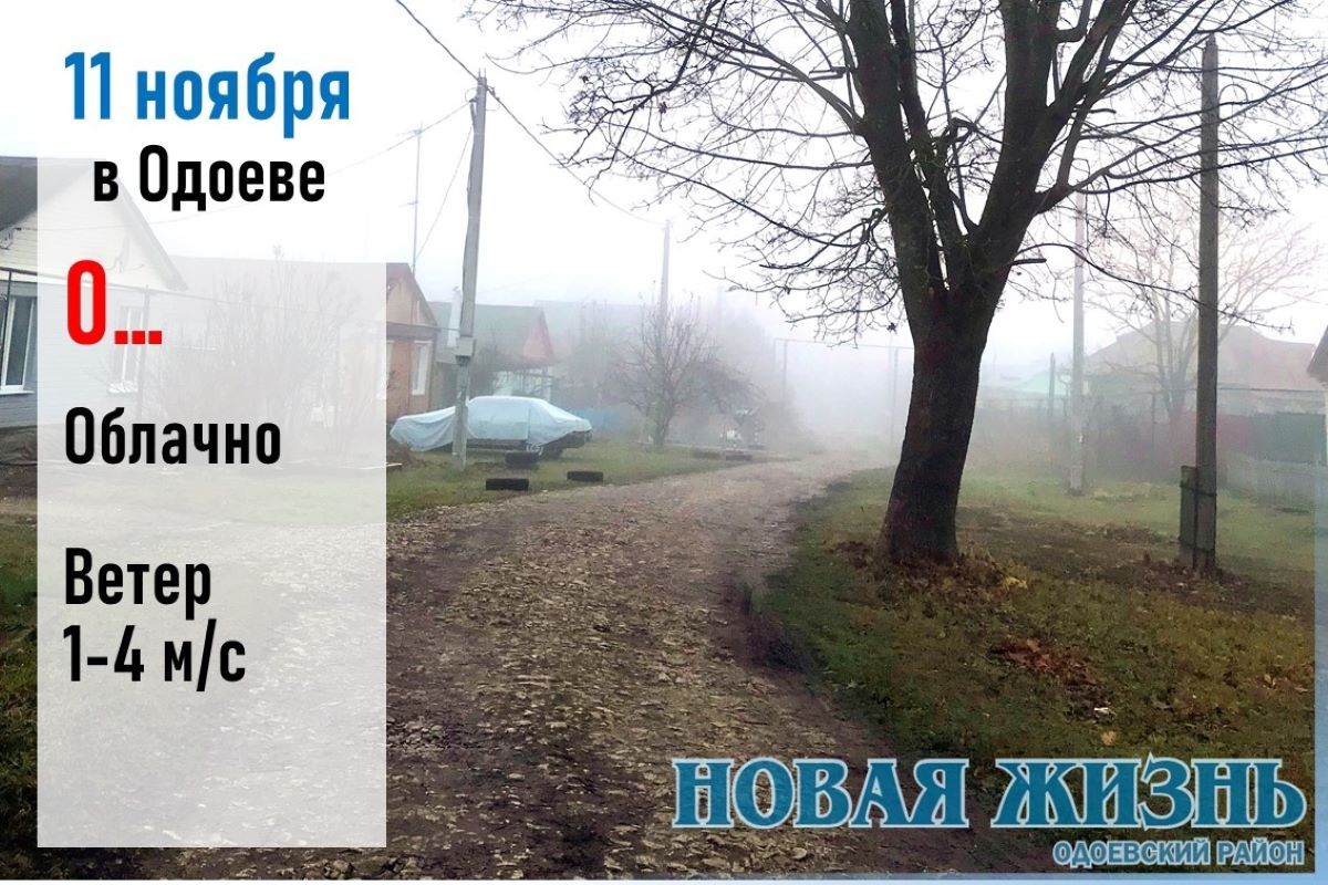 11 ноября: Дождь на Анастасию Овечницу к теплой погоде 11 ноября: Дождь на Анастасию Овечницу к теплой погоде