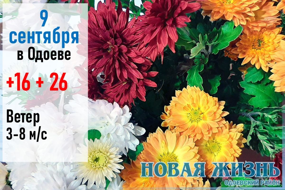 9 сентября: погода в Одоеве и районе