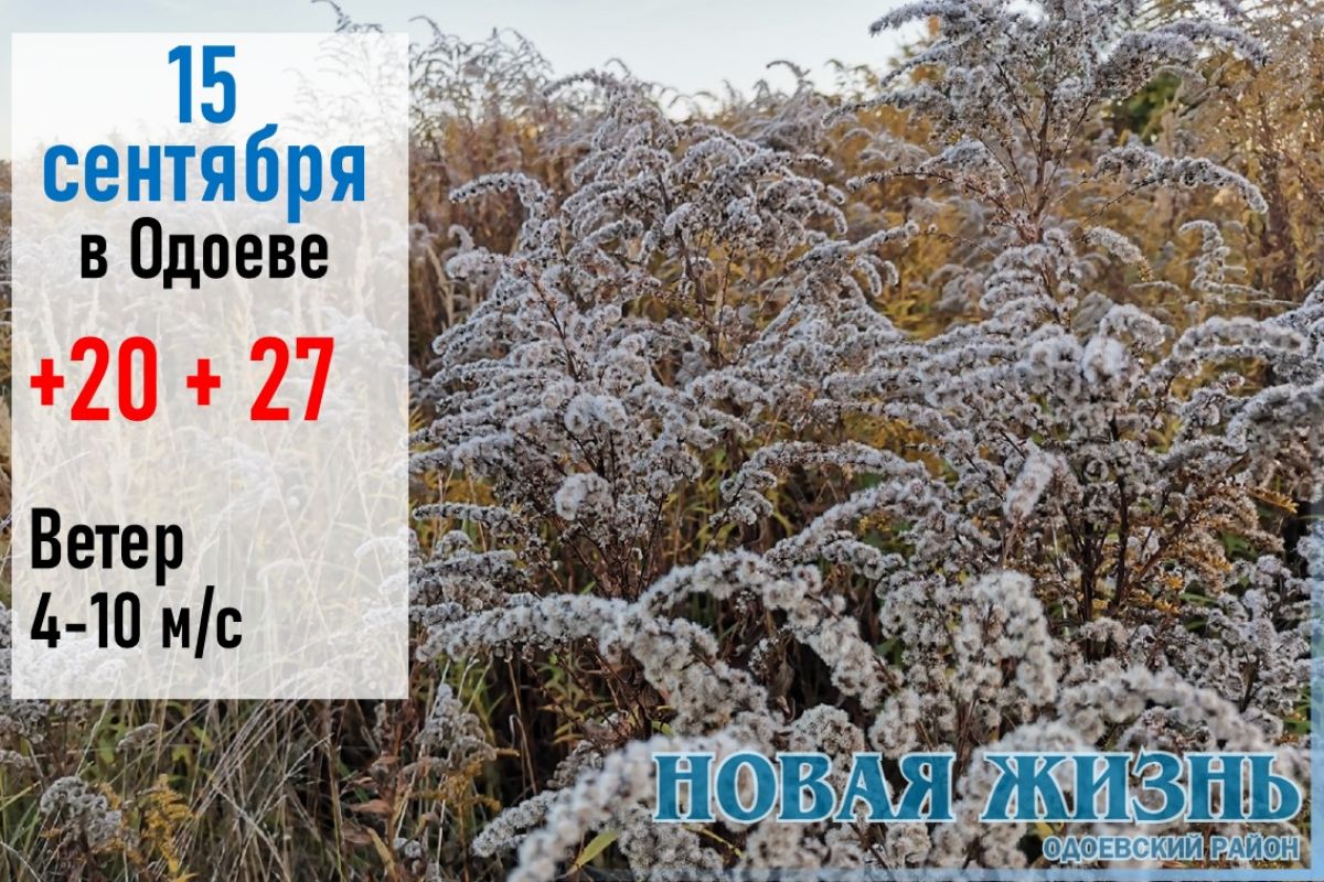 15 сентября: по летнему жарко в Одоеве