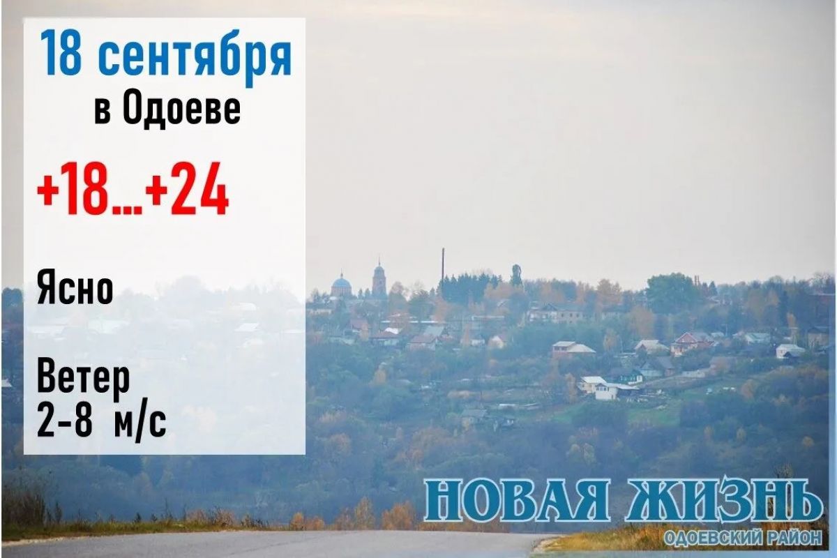 Если листья рябины пожелтели – зима будет ранней и холодной