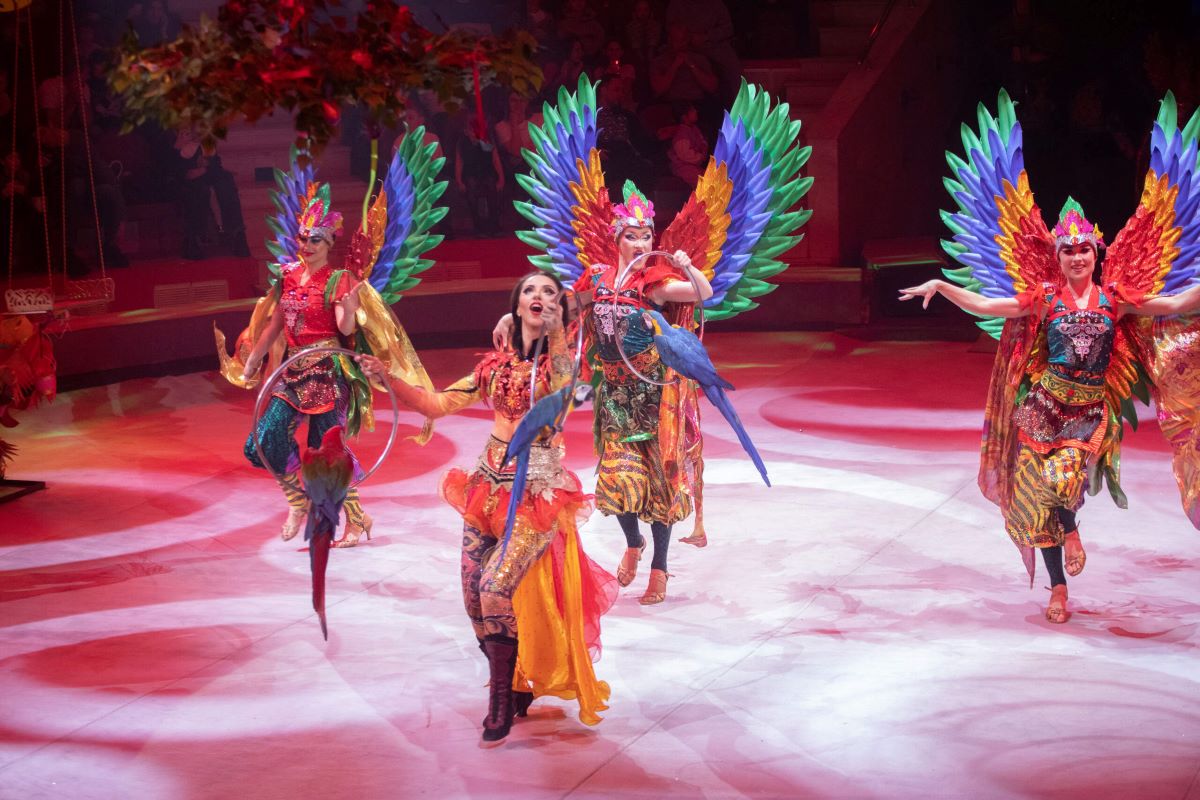 Поймать перо Жар-птицы