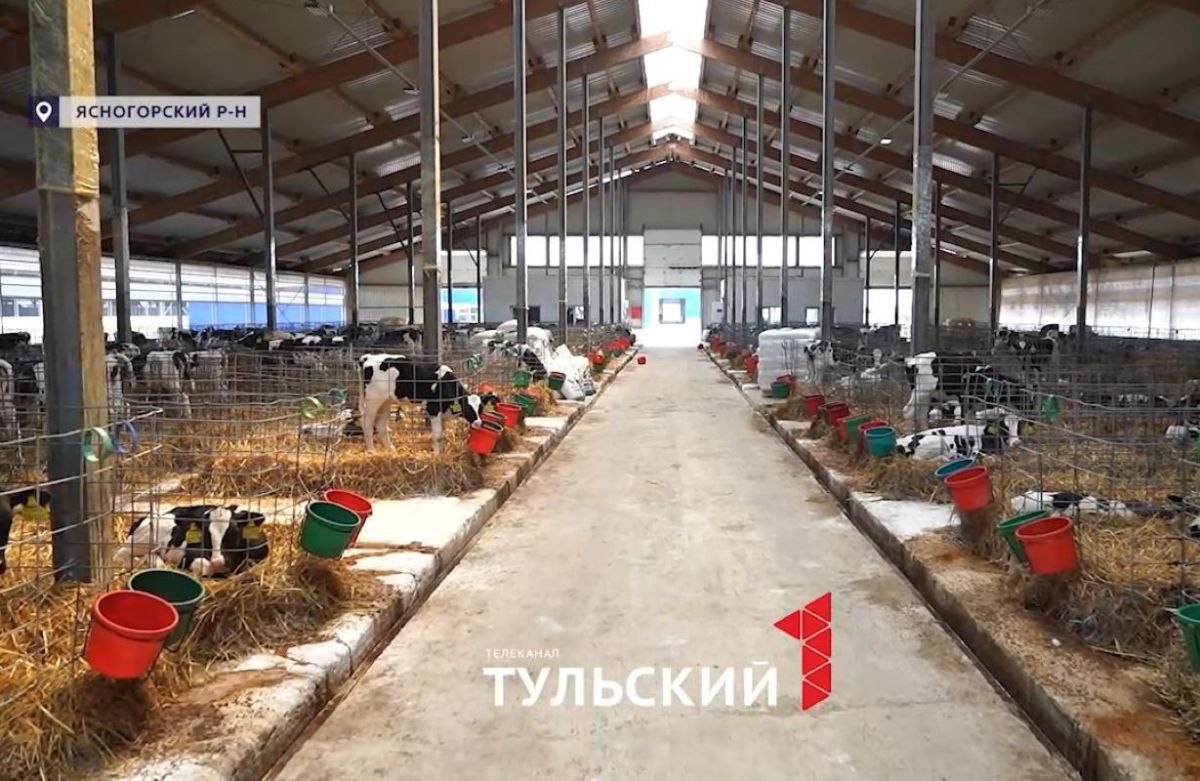 Тульские фермеры вывели регион в топ-10 по производству молока Тульские фермеры вывели регион в топ-10 по производству молока