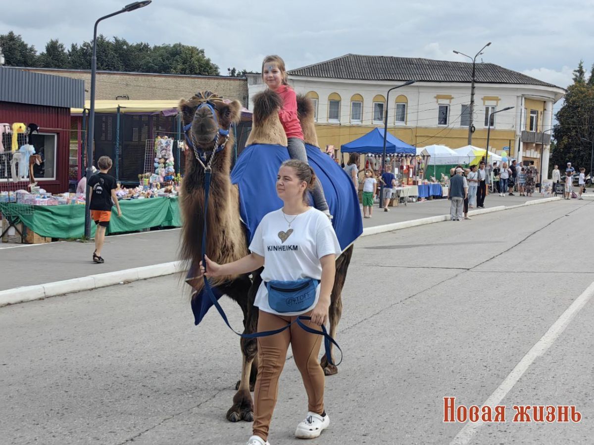 789877photo_2025-07-26_16-34-16